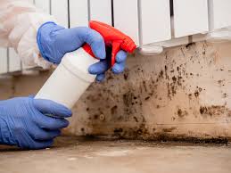 Best Comprehensive Air Testing for Mold Contaminants  in Kaloko, HI